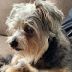 Meet your Posher, Floyd